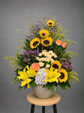 Golden Horizon Blooms